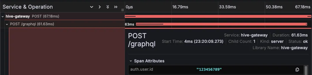 A screenshot showing an example of custom attribute